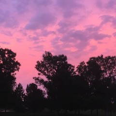 Mikayla Bordas-Martin