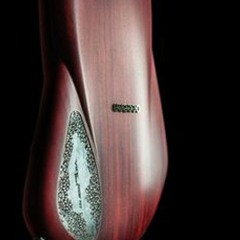 Alvin Miquel Evenson