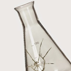 Broken Beaker