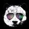 PandaSpring