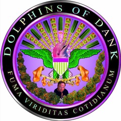 Z Honrabl Dolphins o Donk