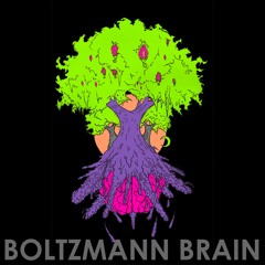 Boltzmann Brain