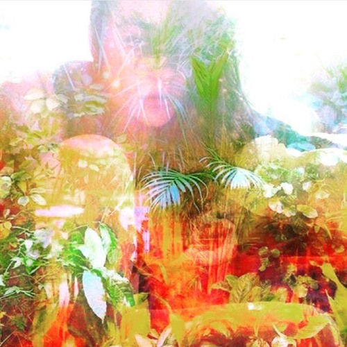 Gardens (Brooklyn NY)’s avatar