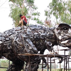 Steve Ashton Bachman