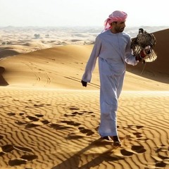 The Wandering Arab