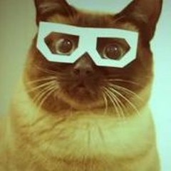 Smells Like Cat