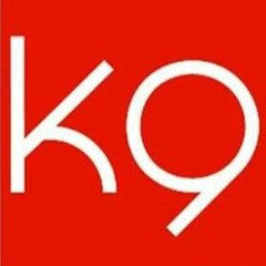 K-9 A.K.A. ''RICOCHET''