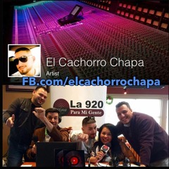 El Cachorro Chapa
