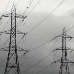 Tim and Toby Bricheno