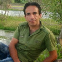 Ali Iranpour