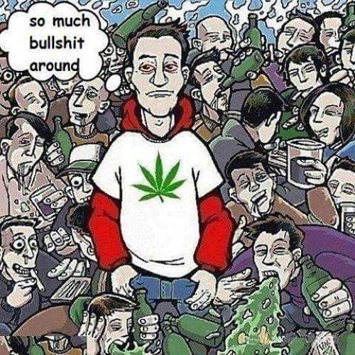 meany grimesville mp3