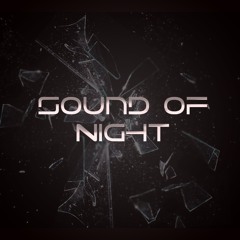 Sound Of Night