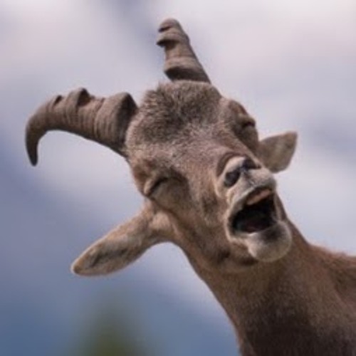 Bode Pinto S Stream On Soundcloud Hear The World S Sounds