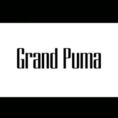 Grand Puma