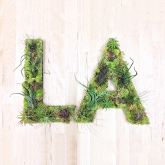 LA Garden