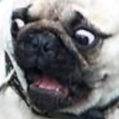 User 945120807