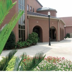 AN UNFAMILIAR JOURNEY