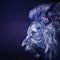 Purp∆Lion