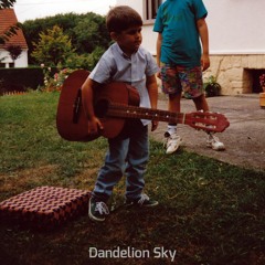 Dandelion Sky
