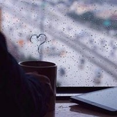 ولاء عمر