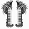 BM Piano