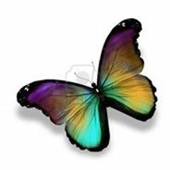 Eman Mohamed A