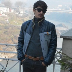 ansidds