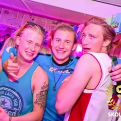 alexander gustafsson 15