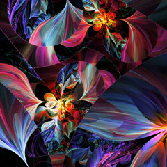 shawn s parkerson1979