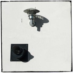 franklin erik radley