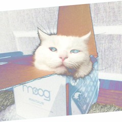 ZNG