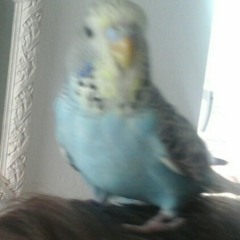 clarky