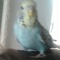 clarky