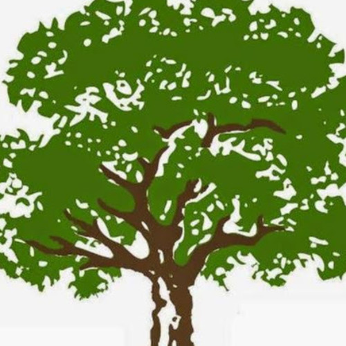 Baum und. Baum. baum ai логотип. baum лого. evelyn baum.