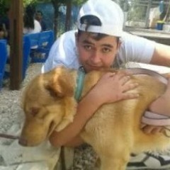 ‫רון סגל‬‎