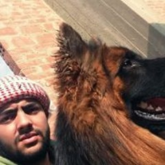 م. محمد حدوته