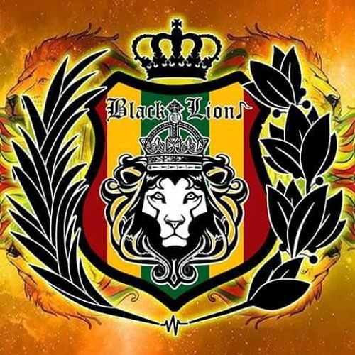 Sanz Black Lion’s avatar