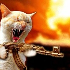 Bitza - Urmatorul Pas Cu Tatae