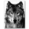 Wolfnang