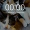 triga