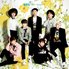 BTS FOR A.R.M.Y INA