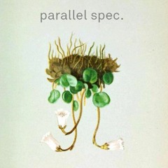 Parallel Spec.