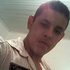 gabriel.franzin