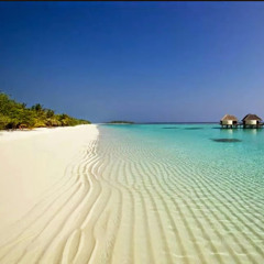 ‫ياسر الرباح‬‎