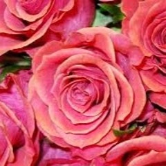 ‫محمد محمود فايد‬‎