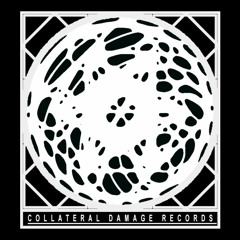 Collateral Damage Records