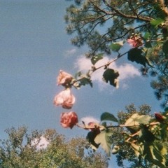 기린