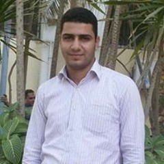 Mohamed Ebrahim Elsaid
