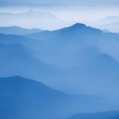 Jonathan Carvajal 12