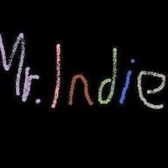 Mr. Indie